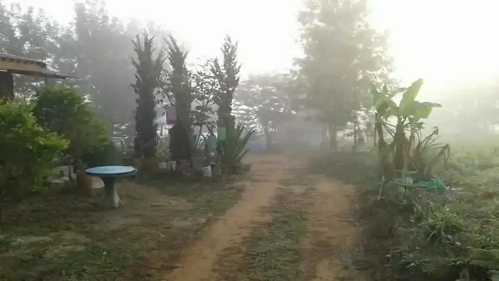 Pooarbdao 2