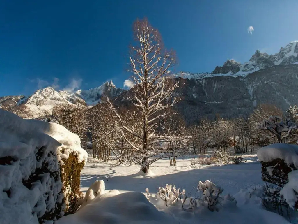 Appartement Chamonix-Mont-Blanc, 4 pièces, 8 personnes - FR-1-517-25