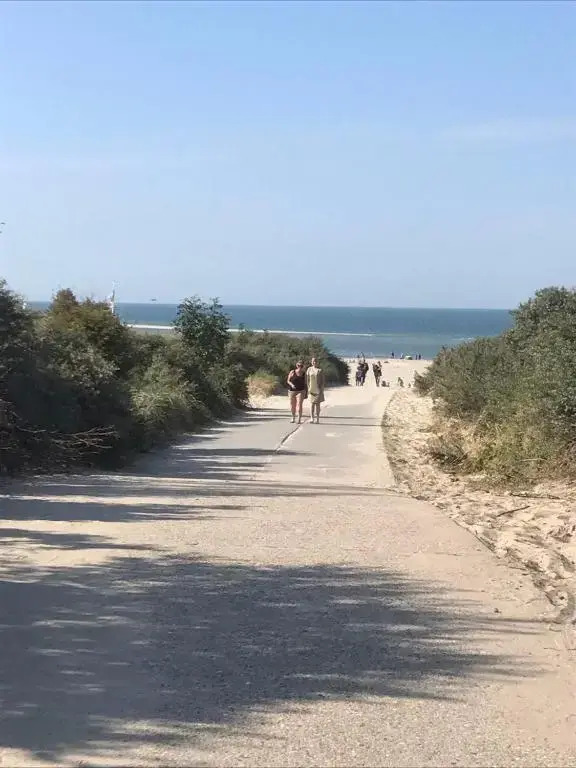 De Waterlelie