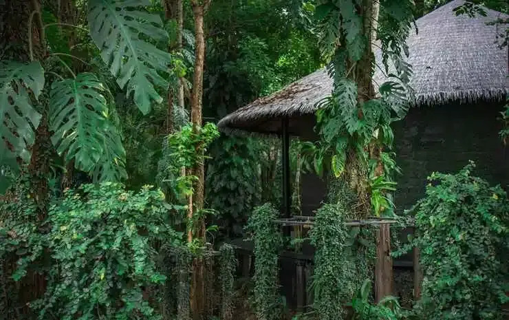 The Sense Resort Kanchanaburi