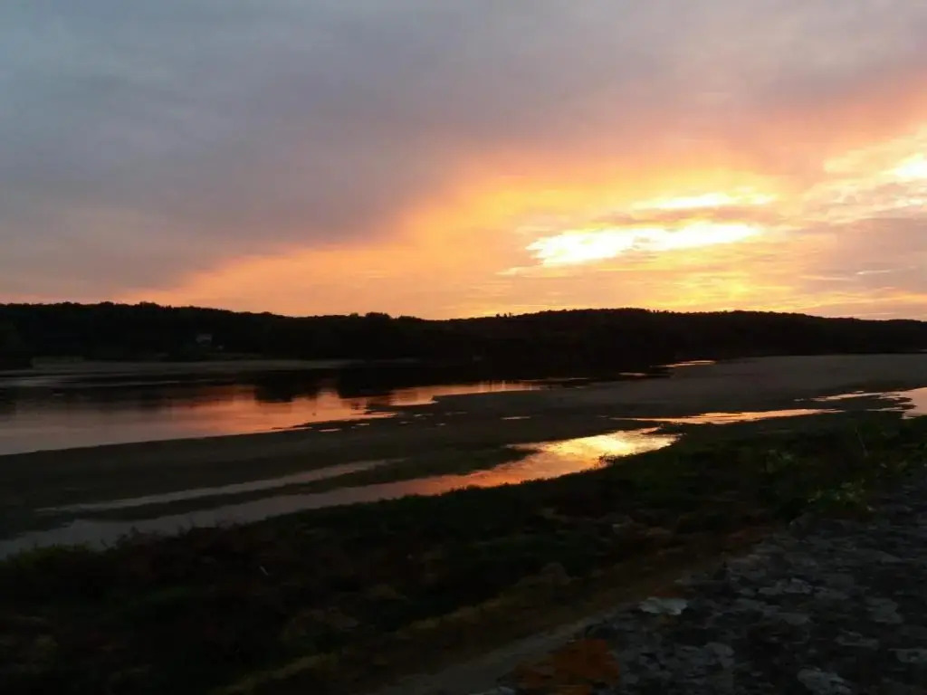 LE COSY LOIRE appart