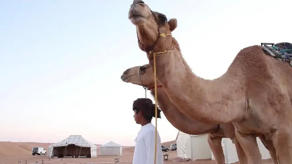 Luxury Desert Camp Oman