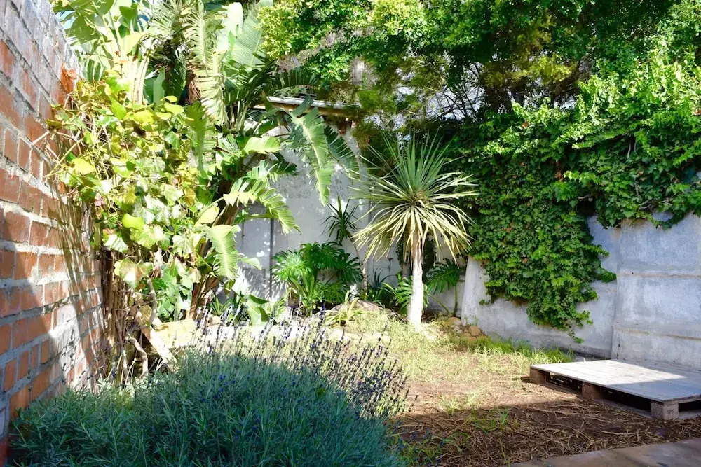 2 Bedroom House in Observatory Cape Town