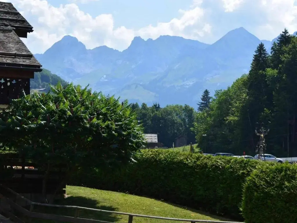 Appartement Le Grand-Bornand, 1 pièce, 5 personnes - FR-1-241-45