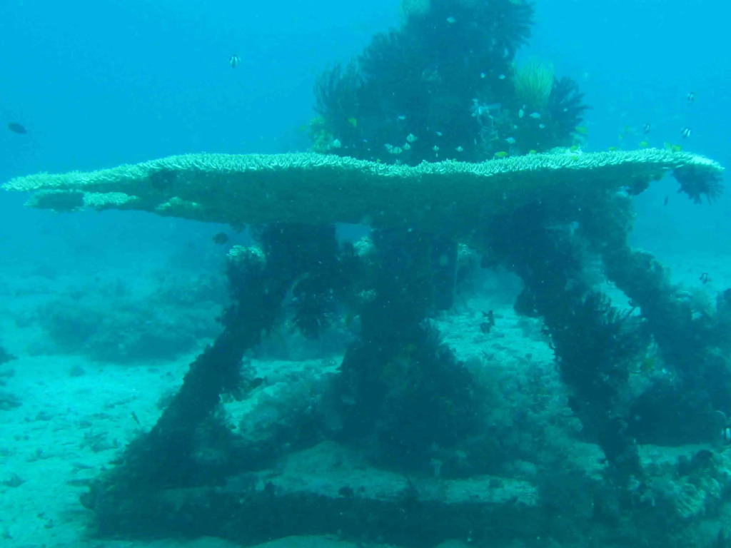 Algen's Dive Resort