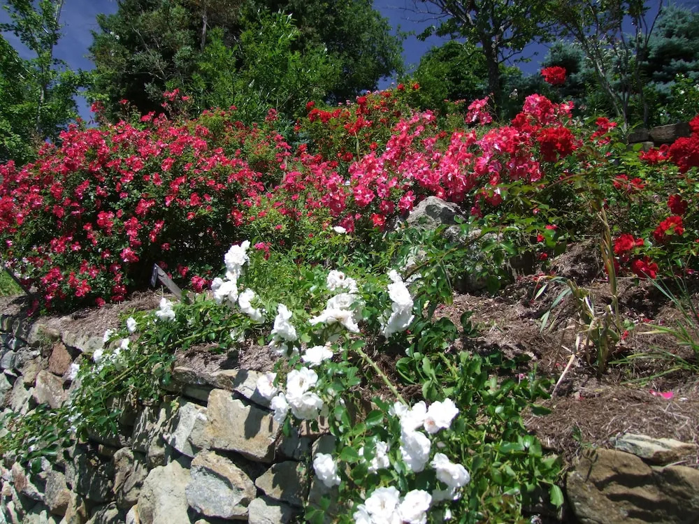 Les Jardins de lAbbaye