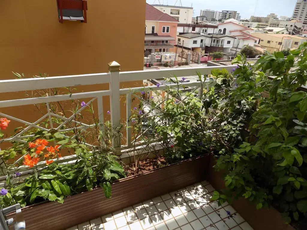 Caravel Suites