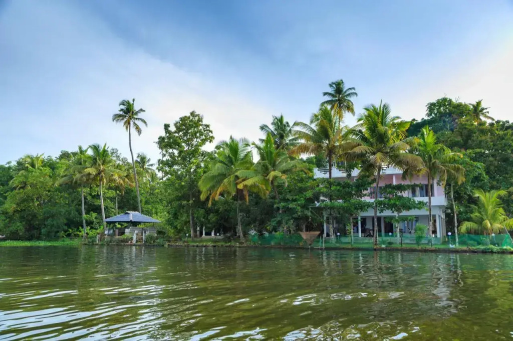 orchid lake view homestay