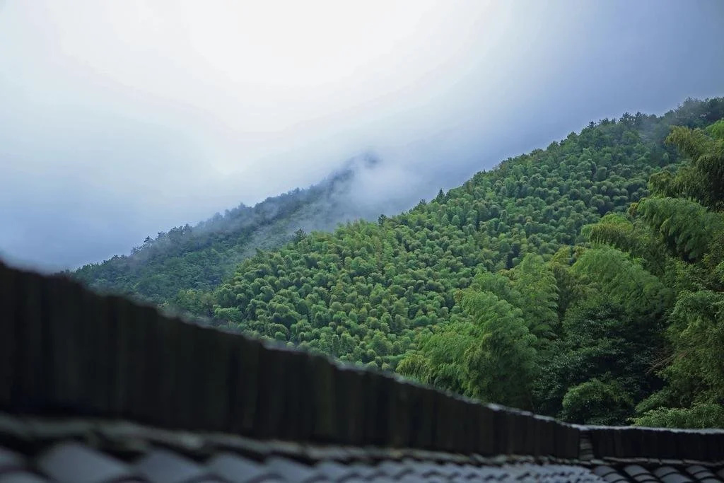The Hidden House Tonglu