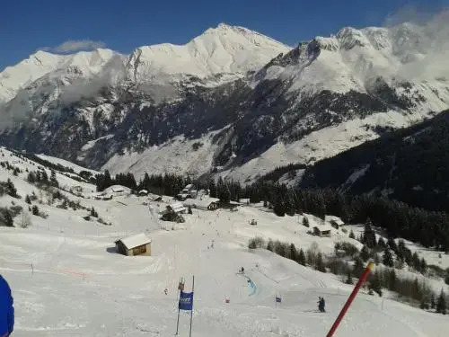 Haus Zervreila