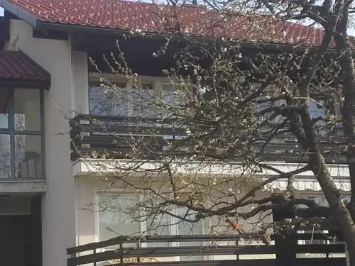 Rooms and Apartment Na poljani