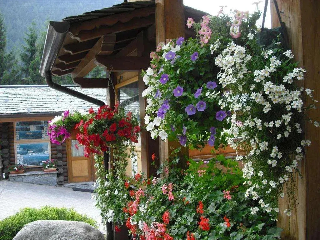 Camping Cima Piazzi