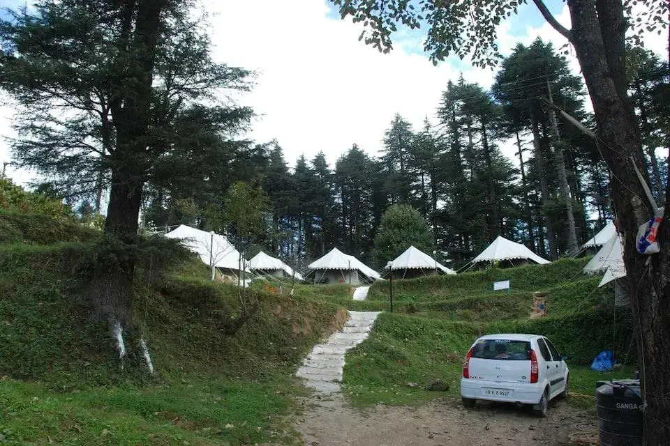 Camp Carnival