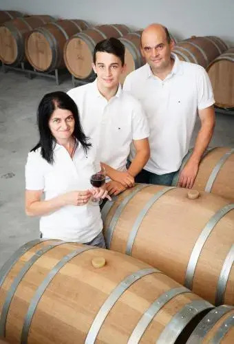 Weingut und Gästehaus Salzl