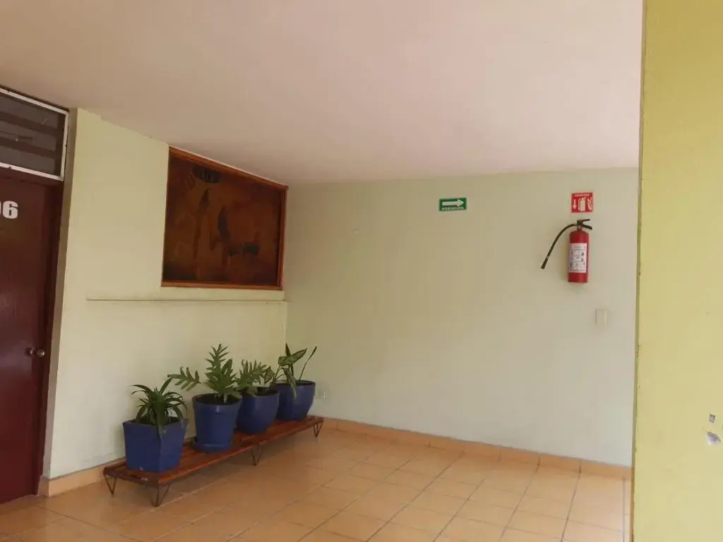 Hotel Avenida