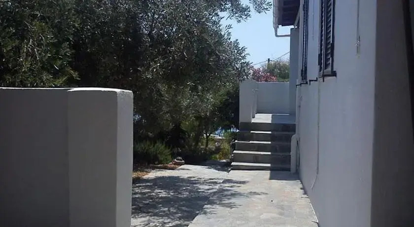 Echo