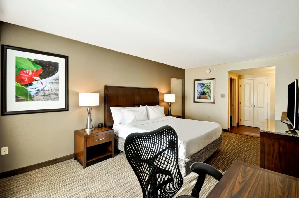 Hilton Garden Inn Tampa North
