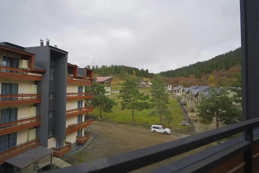 LEO GROUP Luxury Apartment 04-32 BAKURIANI INN