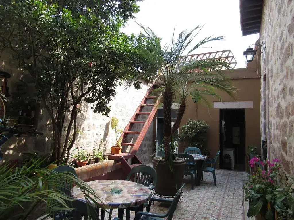 The Only Backpackers Morelia