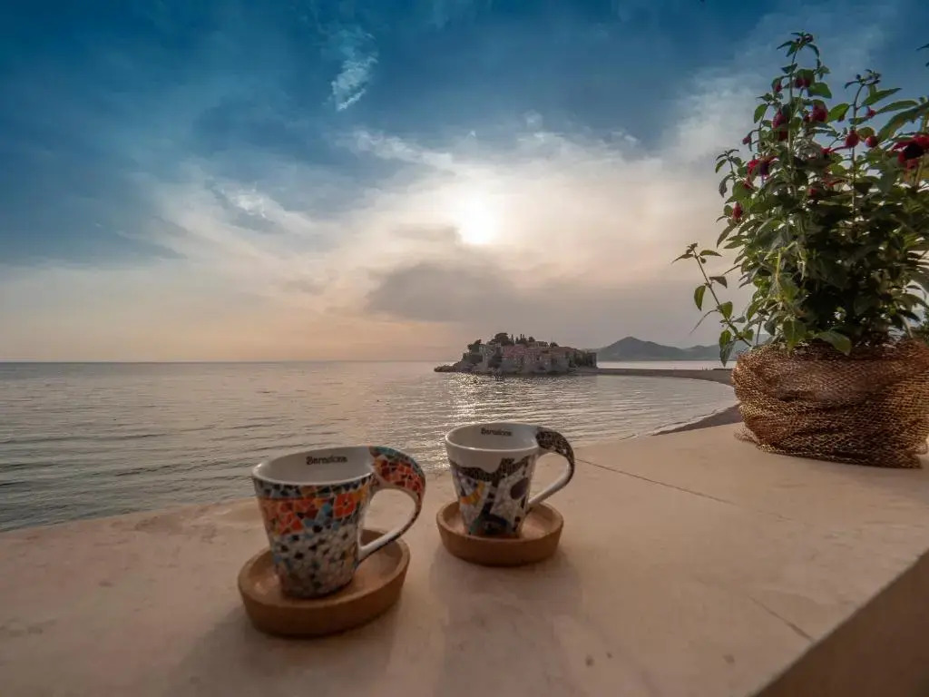 Apartment Radovic