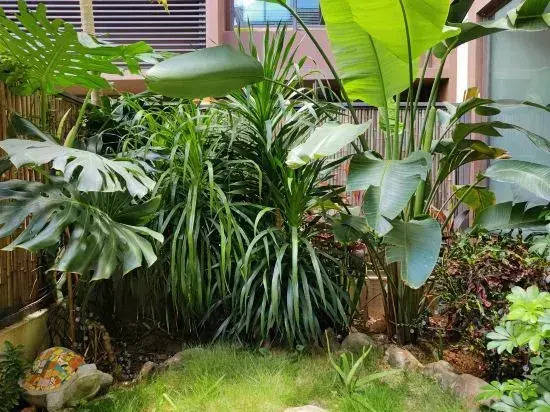 Stone courtyard