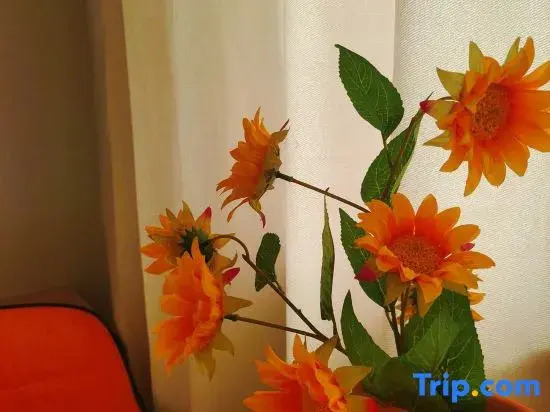 Wenzhou Xinyuan Haige Homestay