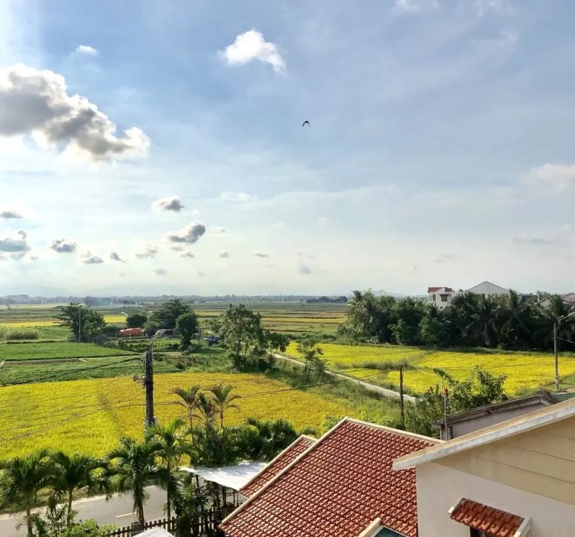 Ideal Villa