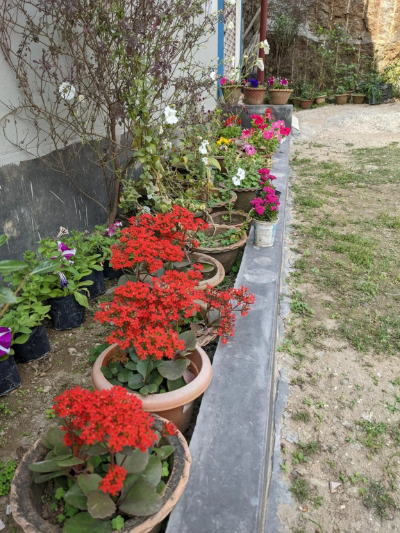 Nilachal Homes