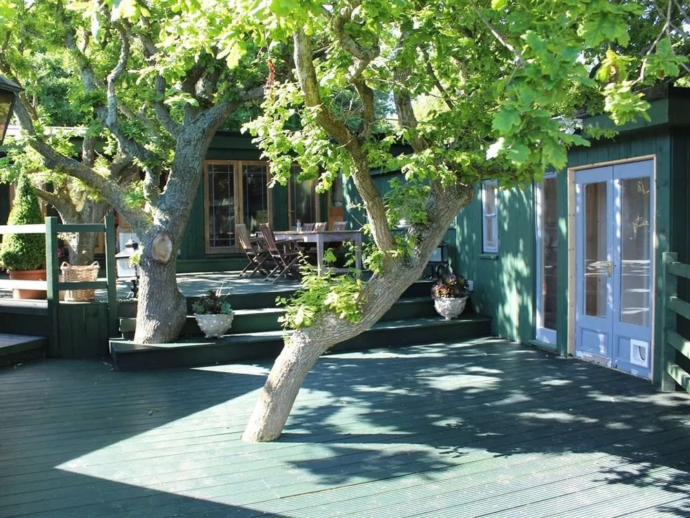 Holly Oak Sanctuary