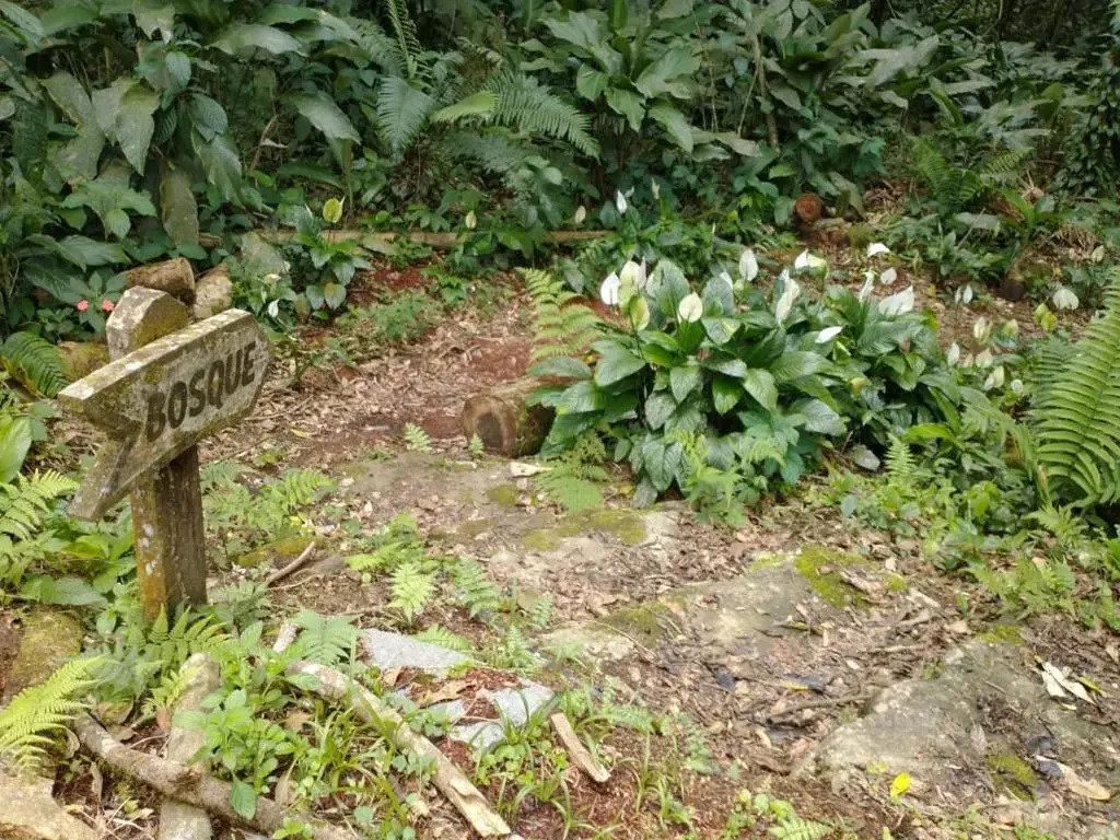 Serra e Mar