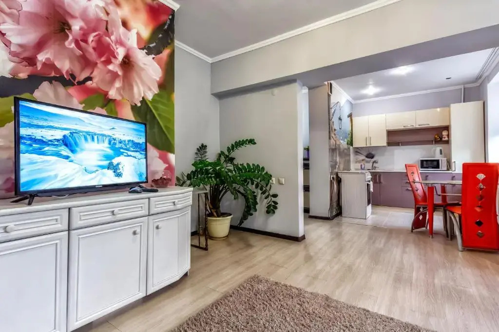 435 Apartamenty v tsentre dlja komandirovannyh i turistov