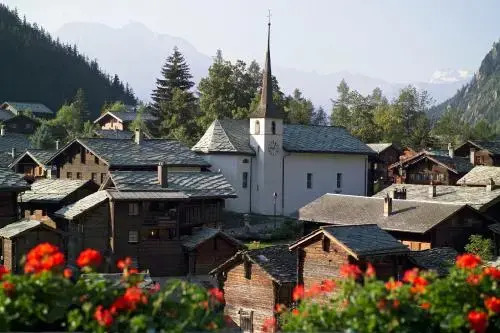 Schwarznase