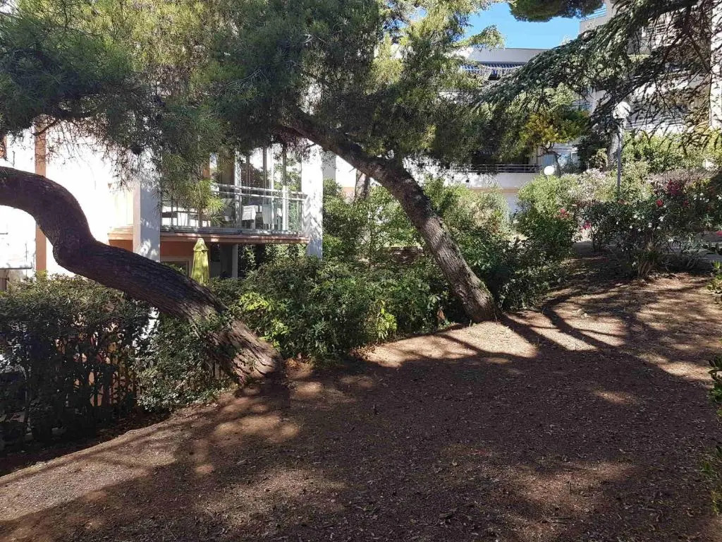 Appartement Sète, 2 pièces, 4 personnes - FR-1-472A-193