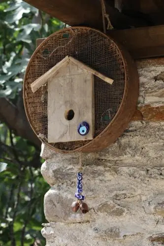 Yeni Gelin Evi
