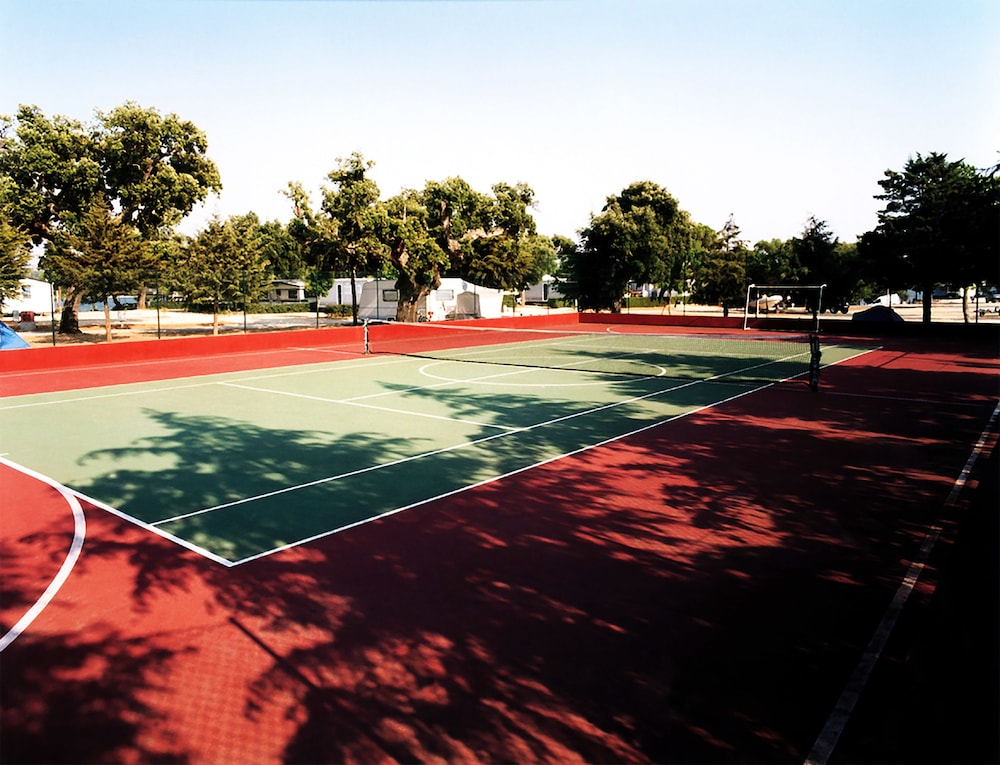 Parque de Campismo Orbitur Montargil