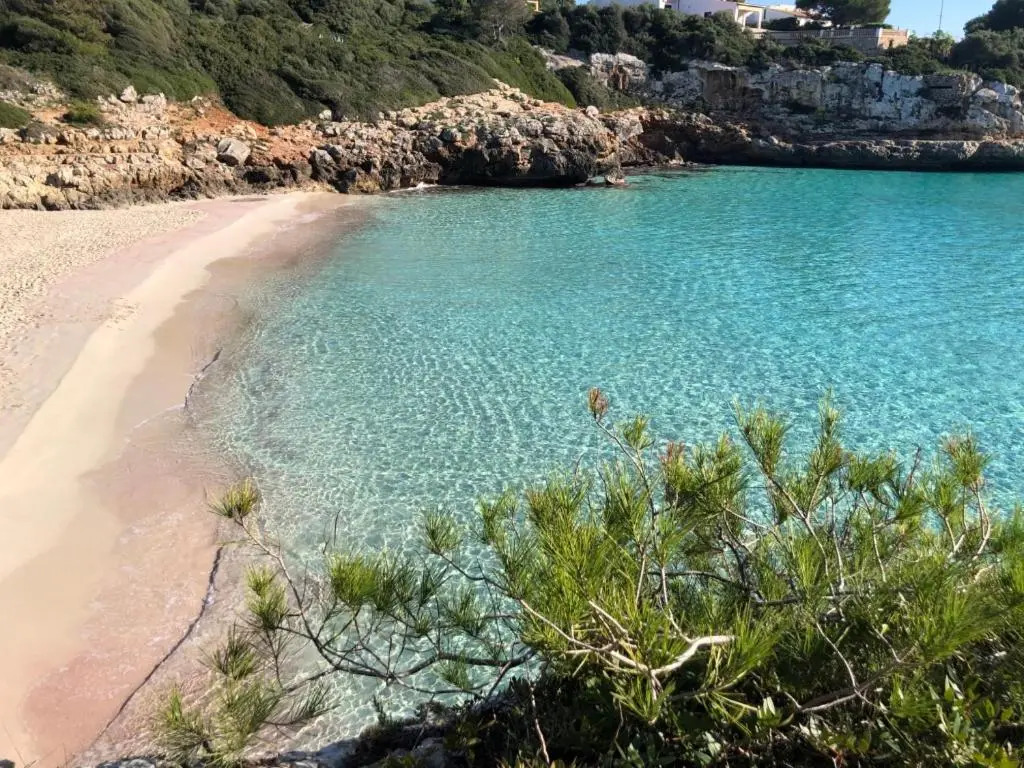Finca Ses Rotetes