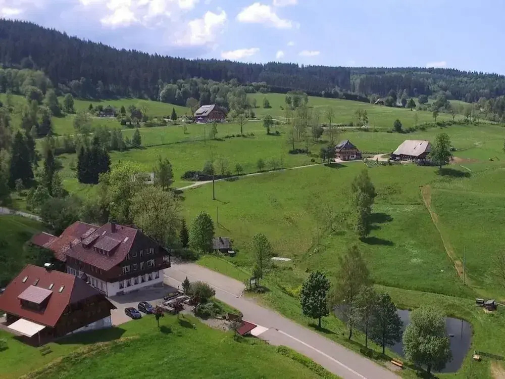 Holiday Apartment Tannenblick