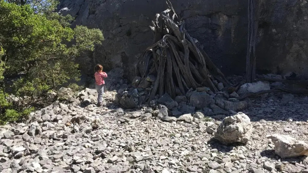 Il Nuovo Gabbiano