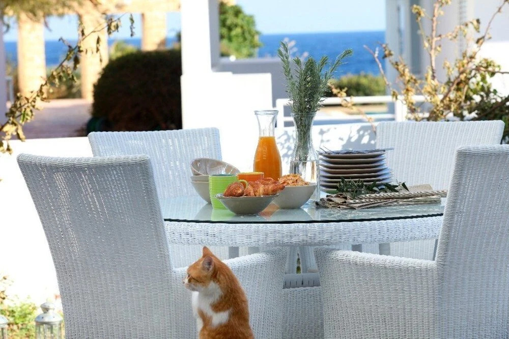Villa for Rent in Protaras 1051
