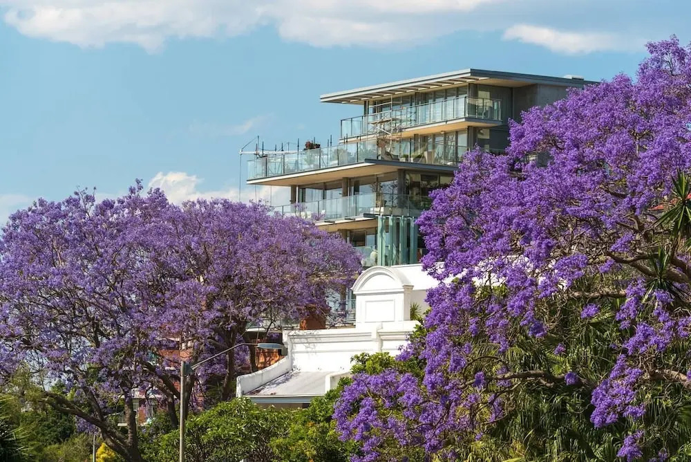 Couple's Gateway in Sunny Elizabeth Bay