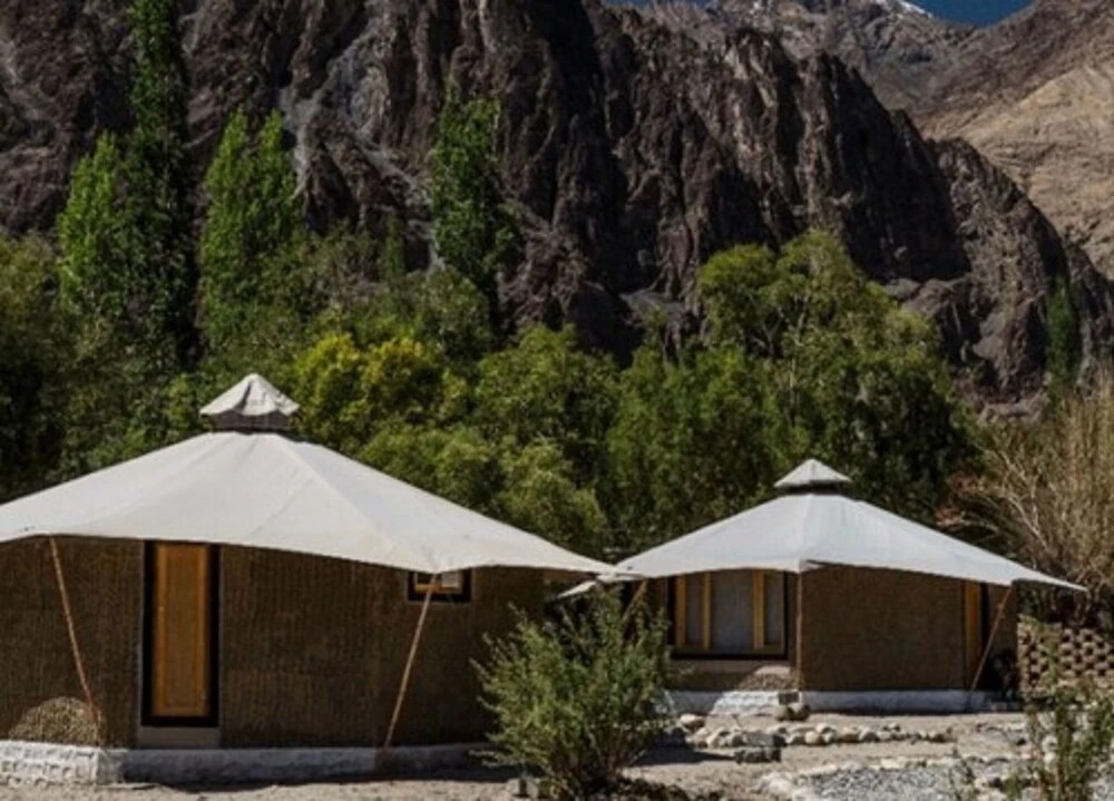 Chalet Seabuckthorn