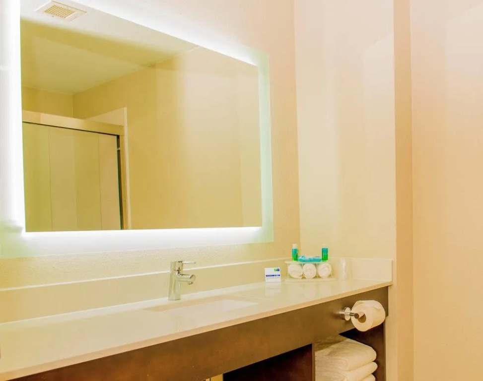 Holiday Inn Express Hotel & Suites St. Petersburg North (I-275)