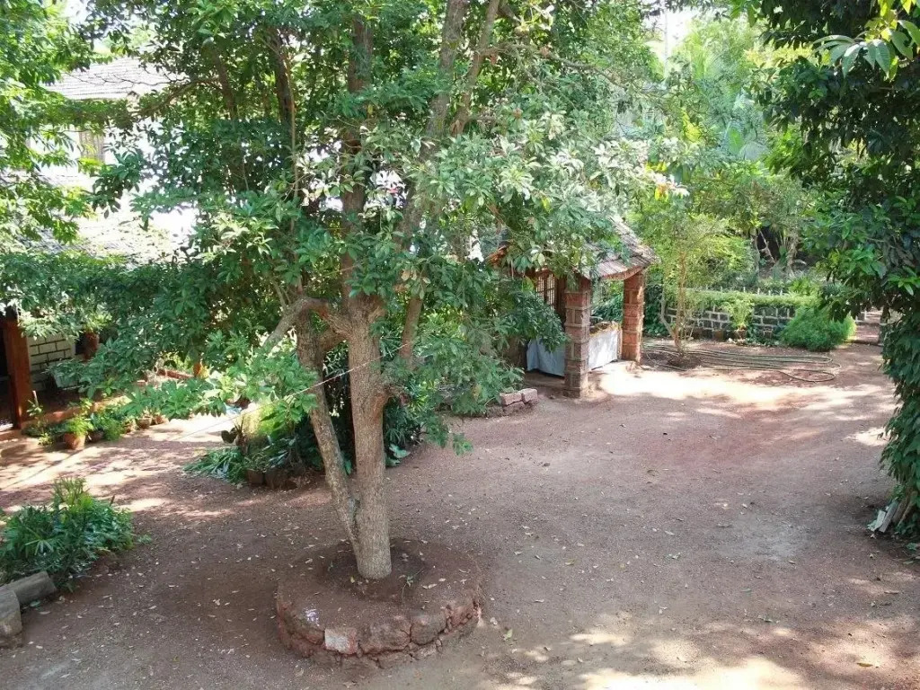 Cancio's House