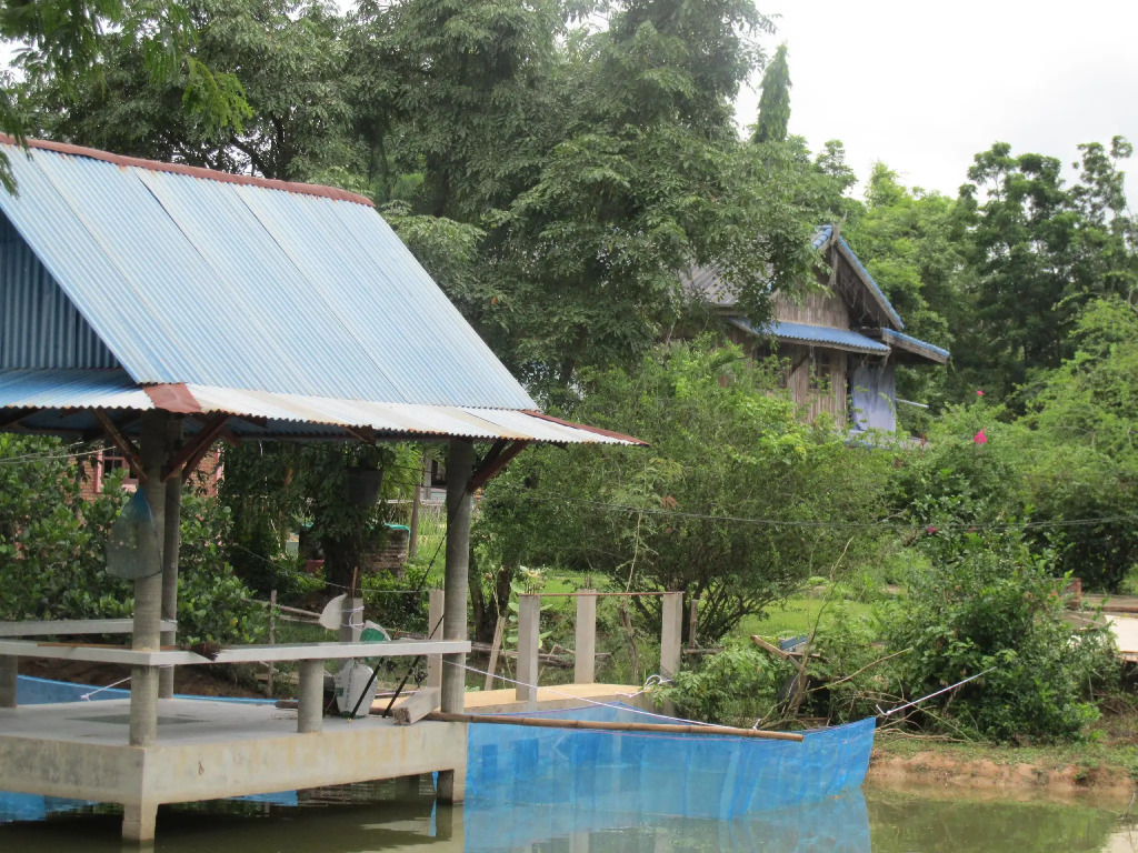 Mountain View Guesthouse