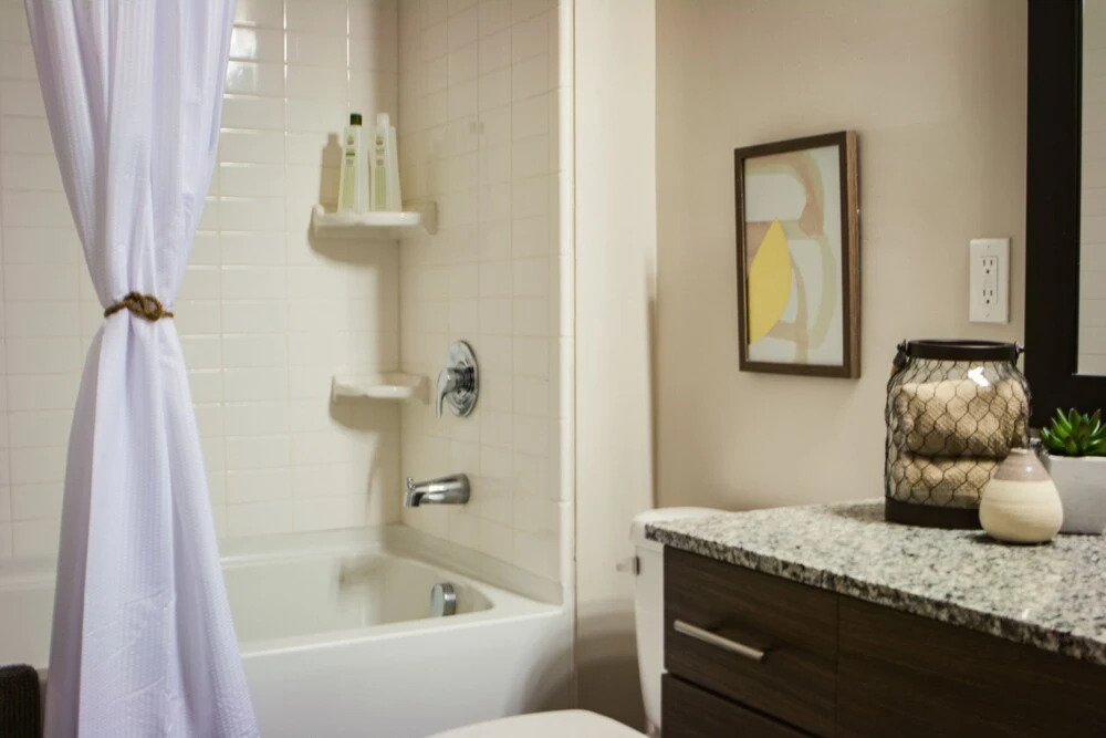 Deluxe One Bed Apartment Near South End/Uptown