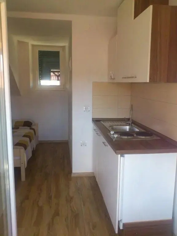 Apartments Vodishka