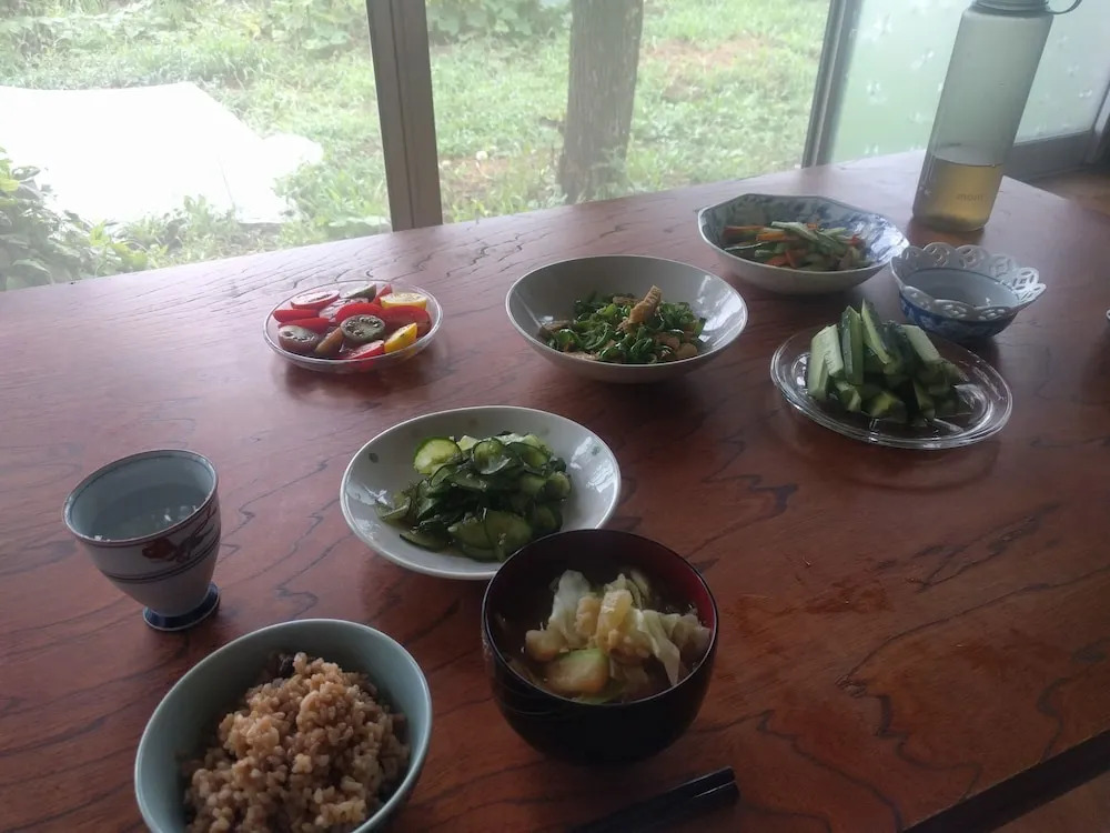 Tomo's hut in Japanese old style
