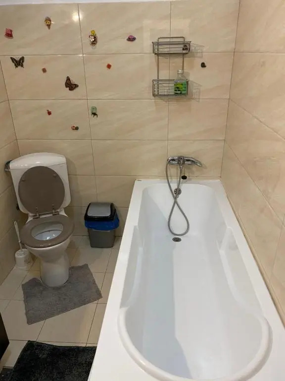 Cosmin Apartament Sondelor 4