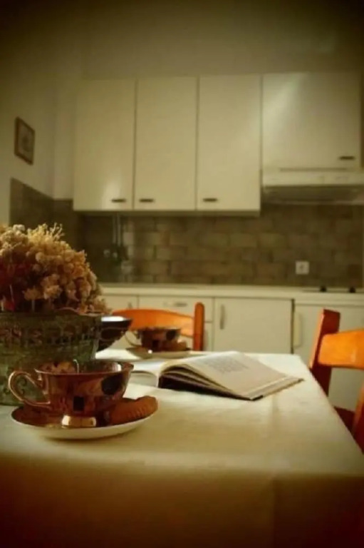 Apartments Begic