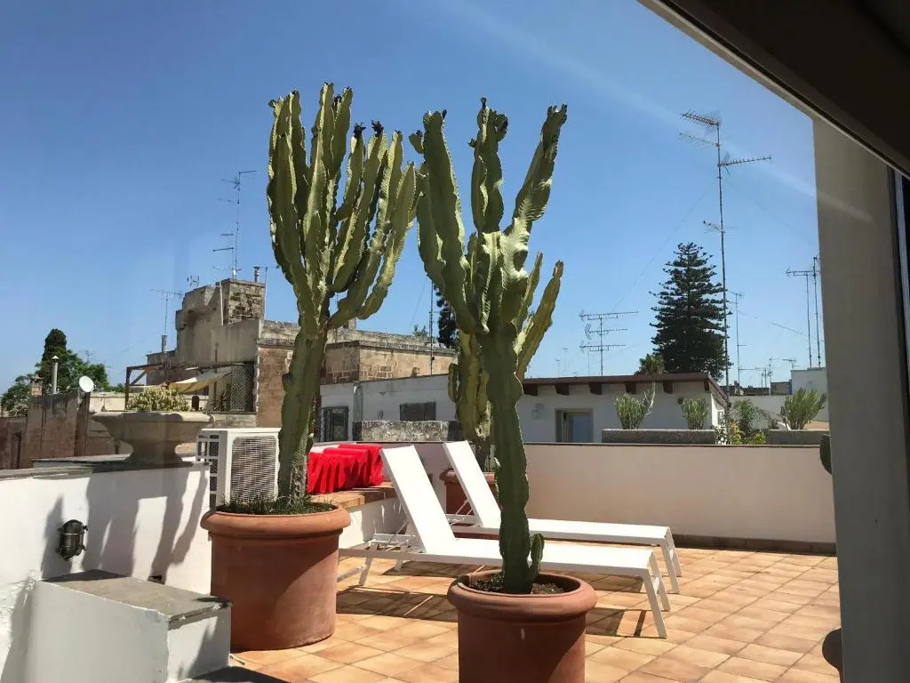 Terrazza con vista